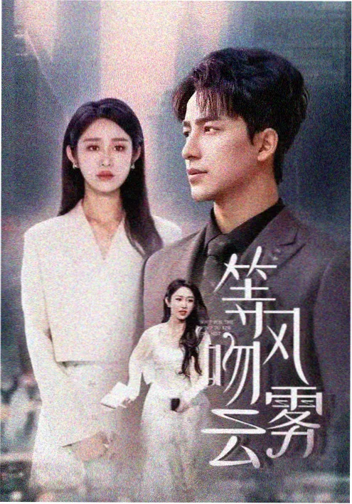 无声的证词 海报